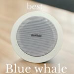 Blue Whale Ceiling Speaker
