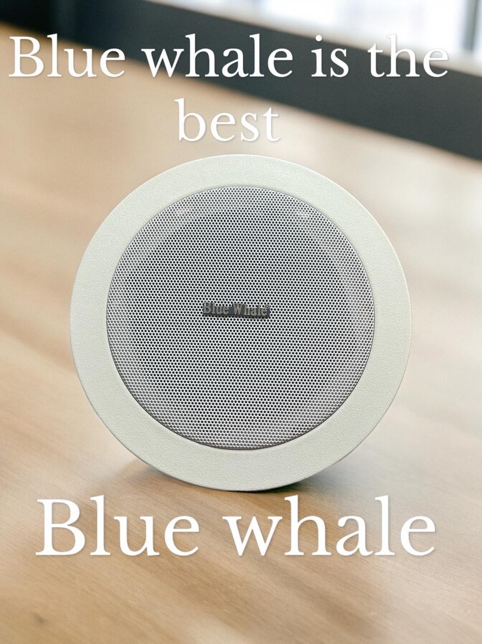IMG-20260925-WA0010 Blue Whale Ceiling Speaker - الصورة 1