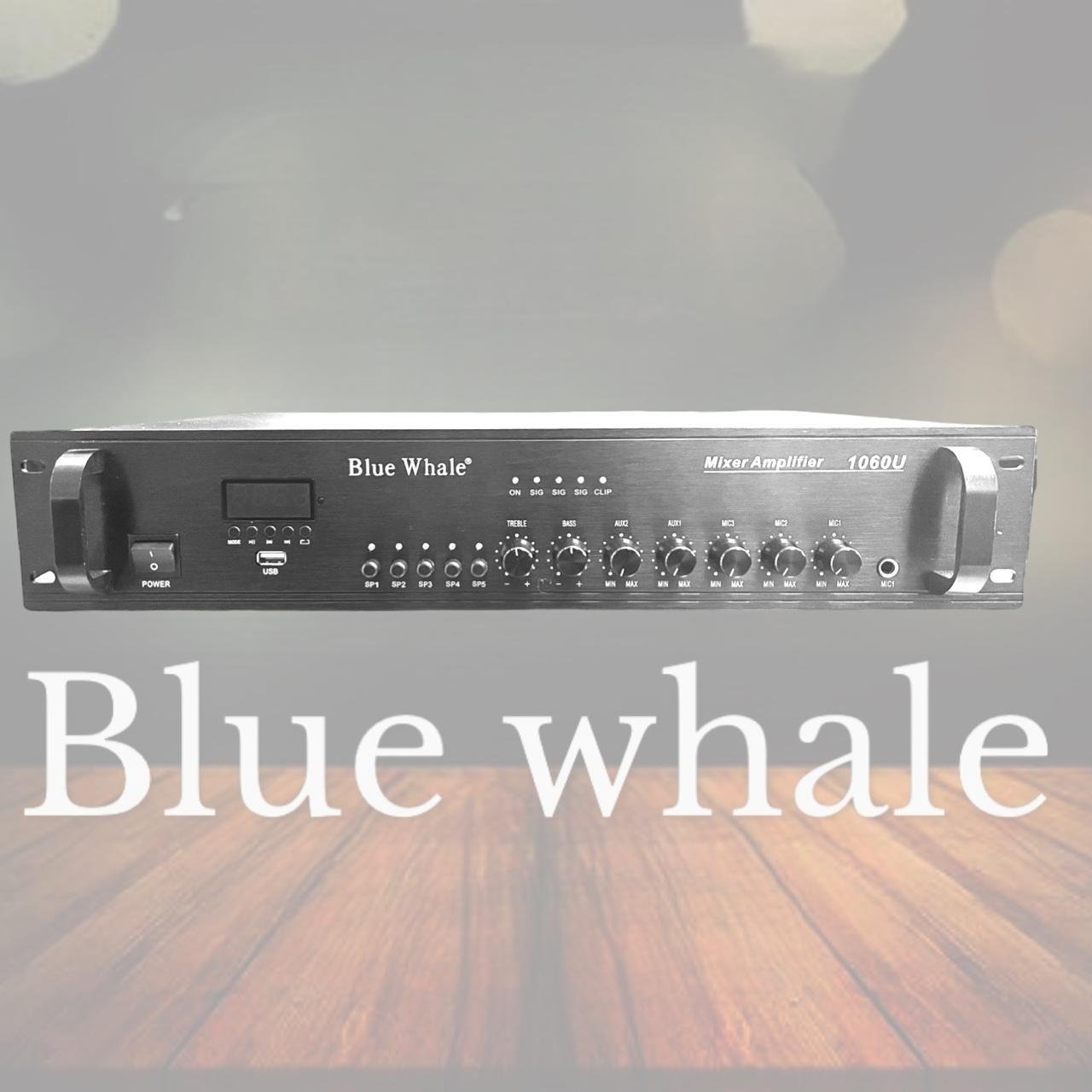 IMG-20260925-WA0013 Blue Whale 1060U - الصورة 1