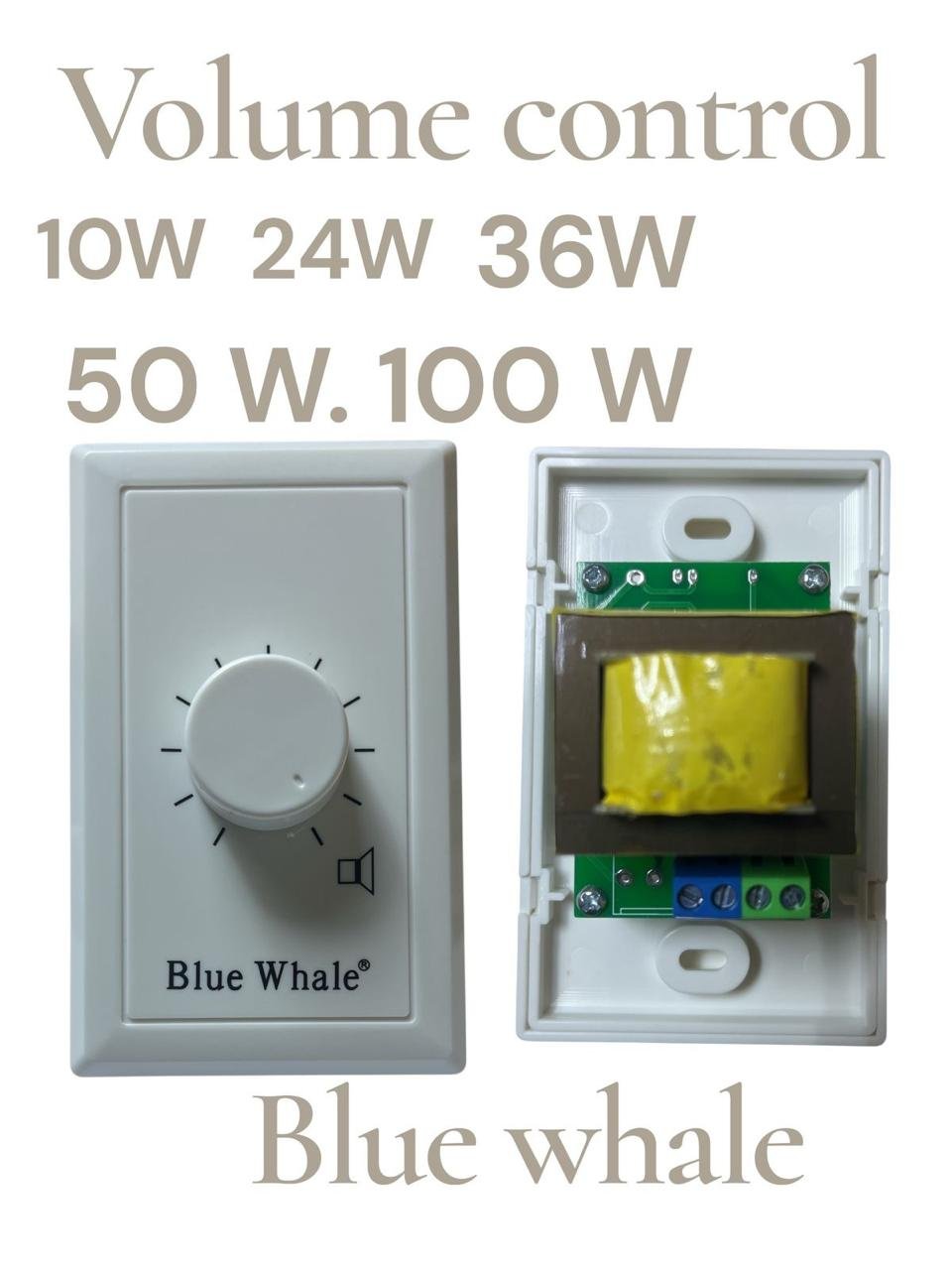 IMG-20260925-WA0020 Blue Whale Volume Control (10W - 100W) - الصورة 1