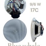 Blue Whale BW315 (9/6W - 17C)