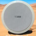 Blue Whale Ceiling Speaker