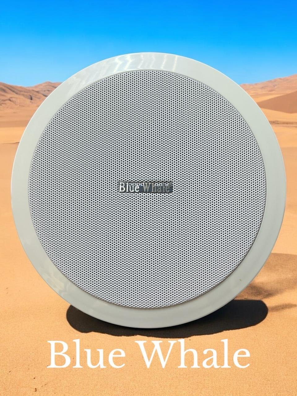 IMG-20260925-WA0031 Blue Whale Ceiling Speaker - الصورة 1