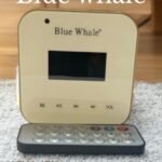 Blue Whale 8601