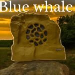 Blue Whale Outdoor Rock Speaker