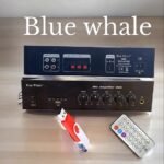 Blue Whale 8060U Mix Amplifier