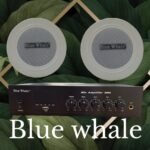 Blue Whale Ceiling Speaker