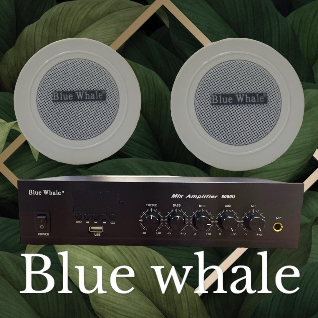 IMG-20260925-WA0043 Blue Whale Ceiling Speaker - الصورة 1