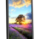 شاشة كمبيوتر 29 بوصة NEC UltraWide IPS