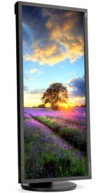شاشة كمبيوتر 29 بوصة NEC UltraWide IPS